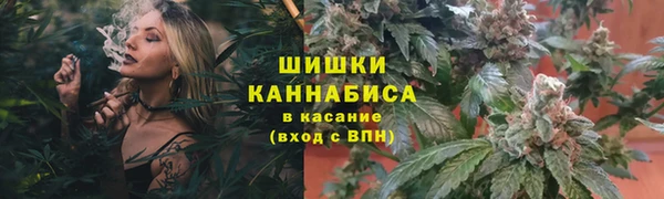 ПСИЛОЦИБИНОВЫЕ ГРИБЫ Пересвет