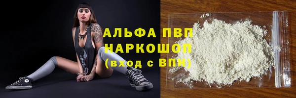 ПСИЛОЦИБИНОВЫЕ ГРИБЫ Пересвет