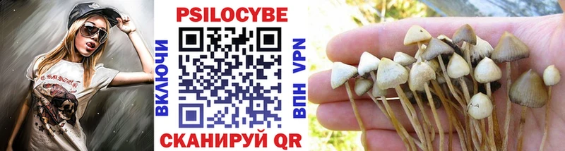 цена наркотик Нахабино Псилоцибиновые грибы Psilocybine cubensis